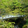 苔庭への入り口