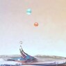 Drop