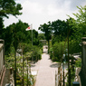 高家神社　参道