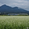 秋の風景