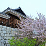 松山城