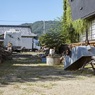 懐かしさはないけれど･･･