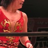 サムライのプロレスニュース出演