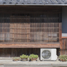 サボテンは暑くても平気なの？