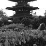 2010-10-08_9313
