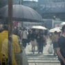 shibuya