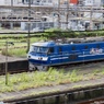 IMG_0575