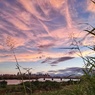 夕陽に染まる雲