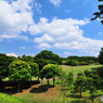 根岸森林公園にて