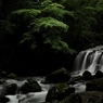 翳る渓流