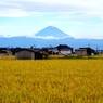下山後、田んぼから見えた富士山。思わず車を止めて撮りました