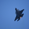 2024 三沢基地航空祭 F-35 AMフライト その13