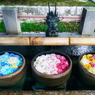  HARMONY　花まいり