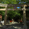 紀州東照宮　P1044045zz