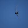 2024 三沢基地航空祭 F-2B その2