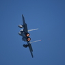 2024 三沢基地航空祭 F-15J その1