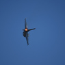 2024 三沢基地航空祭 F-16 その5