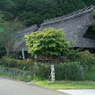 富士山11：根場（ねんば）：復元された家々2