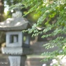 参道にて