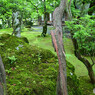 苔庭の佇まい