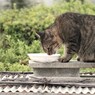 食欲の秋がきたー！