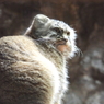 上野動物園