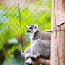 上野動物園