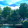 写真エッセイ：富士山21：忍野八海４