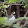 上野動物園