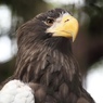 上野動物園