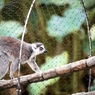 上野動物園