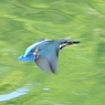 捕ったよ〜！