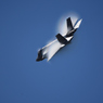 2024 三沢基地航空祭 F-35 PMフライト その5