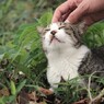 ナデナデはうれしい♪