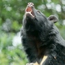 上野動物園