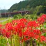 火の花と特急ひのとり