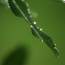 梅雨の日