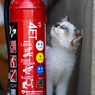 消火器の使い方