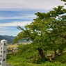 日本100名城　No.79　村上城跡