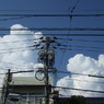 夏