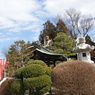 光明寺遠景