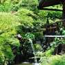 善峯寺07