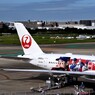 JAL 1293「DREAM　SHOJET」（大谷JET）