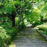 善峯寺06