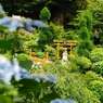 善峯寺01