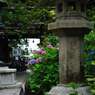 善峯寺18