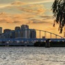 淀川夕景