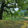栗林公園にて