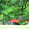 栗林公園にて