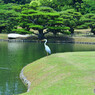 栗林公園にて